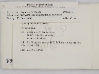 登錄號:F0009081藏品圖，第2張