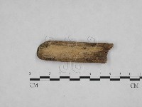 登錄號:F0009081藏品圖，第1張