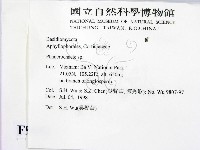 顯絲菌屬藏品圖，第2張