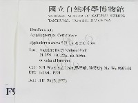 登錄號:F0009083藏品圖，第2張