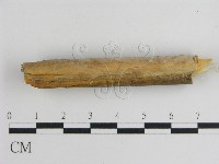 登錄號:F0009086藏品圖，第1張