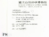 登錄號:F0009088藏品圖，第2張