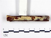 登錄號:F0009088藏品圖，第1張