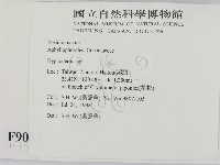 絲皮菌屬藏品圖，第2張