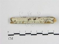 登錄號:F0009090藏品圖，第1張