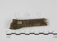 登錄號:F0009093藏品圖，第1張