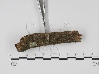 登錄號:F0009093藏品圖，第3張