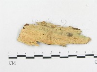 登錄號:F0009094藏品圖，第3張
