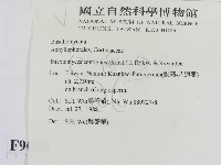 登錄號:F0009095藏品圖，第2張