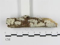 登錄號:F0009095藏品圖，第1張