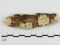 登錄號:F0009096藏品圖，第1張