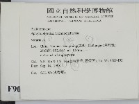 登錄號:F0009097藏品圖，第2張