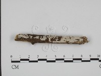 登錄號:F0009098藏品圖，第1張