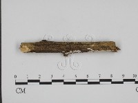 登錄號:F0009098藏品圖，第3張