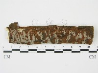 登錄號:F0009099藏品圖，第1張