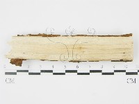 登錄號:F0009099藏品圖，第3張
