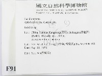 登錄號:F0009100藏品圖，第2張