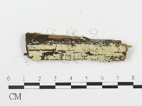 登錄號:F0009100藏品圖，第1張