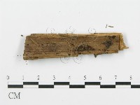 登錄號:F0009100藏品圖，第3張