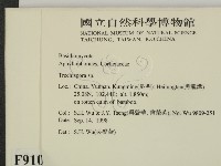 登錄號:F0009101藏品圖，第2張
