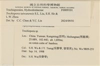 登錄號:F0009101藏品圖，第3張