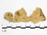 登錄號:F0009102藏品圖，第1張