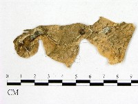 登錄號:F0009102藏品圖，第3張