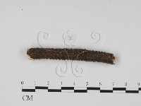 登錄號:F0009103藏品圖，第1張