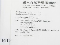 柱擔菌屬藏品圖，第2張