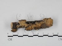 雲芝藏品圖，第4張