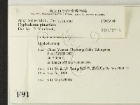 登錄號:F0009108藏品圖，第2張