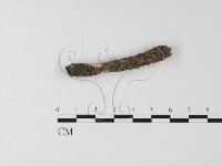 登錄號:F0009108藏品圖，第3張