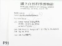 登錄號:F0009109藏品圖，第2張