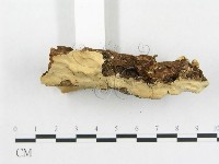 登錄號:F0009109藏品圖，第3張