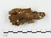 登錄號:F0009109藏品圖，第4張