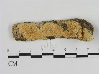 登錄號:F0009110藏品圖，第1張