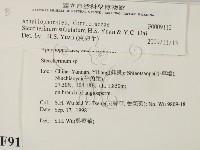 登錄號:F0009112藏品圖，第2張