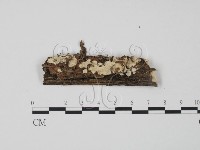 登錄號:F0009112藏品圖，第1張