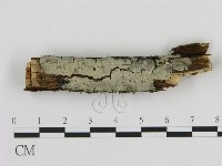 登錄號:F0009113藏品圖，第1張