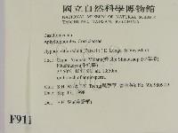 登錄號:F0009117藏品圖，第2張