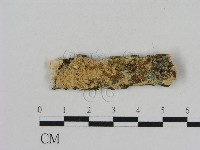 登錄號:F0009117藏品圖，第1張