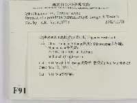 登錄號:F0009119藏品圖，第2張