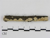 登錄號:F0009119藏品圖，第1張