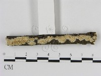 登錄號:F0009119藏品圖，第3張