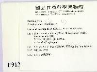登錄號:F0009125藏品圖，第2張