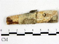 登錄號:F0009125藏品圖，第1張