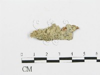 登錄號:F0009126藏品圖，第1張