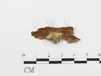 登錄號:F0009126藏品圖，第3張