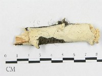 登錄號:F0009129藏品圖，第1張