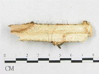 登錄號:F0009129藏品圖，第3張